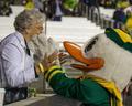 Duck mascot, 2015