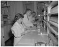 Pharmacy lab students, October 1959