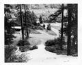 View of comfort station, campsite after Columbus Day Storm 1962