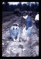 Students harvesting potatoes at Children's Farm Home, Corvallis, Oregon, circa 1970