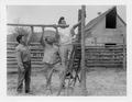 Native American lacing lodge poles together