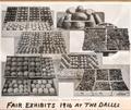 Fair Exhibits, The Dalles Products, at The Dalles - 1910