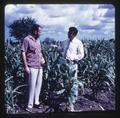 Dr. Murray D. Dawson and Nai Siripong in Kasetsart University corn plots, Bangkok, Thailand, 1960