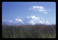 Clouds above fescue field, circa 1965