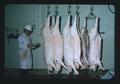 Don Stangel with T & H Farm pork carcasses in Meats Lab, Oregon State University, Corvallis, Oregon 1974