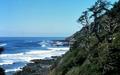 Cape Perpetua looking NW over Good Fortune Cove