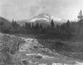View of Mt. Hood from a river