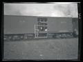 Elk loaded in boxcar