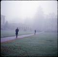Walking through the Memorial Union Quad on a foggy day