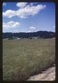 Fescue field on Don Hector's farm near Granger, Oregon, 1966