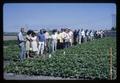 People lined up at Irrigation Fair, Jackson Farm, Corvallis, Oregon, 1966