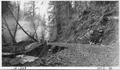 Erosion along creek in campground