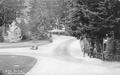 View in City Park, Portland, Oregon (now Washington Park)