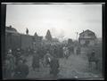 Crowd viewing elk loaded in a boxcar