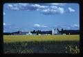 Mustard field and grain elevator, Rickreall, Oregon, May 1977