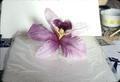 Orchid of silk (painted, wired, pressed), 6 x 5 inch bloom, 9 inch stem