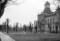 Benton County Courthouse with pruned trees