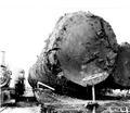 Locomotive with giant logs on flatbed