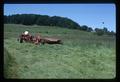 Mower cutting grass hay, Oregon State University, Corvallis, Oregon, 1975