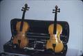 Matched set of violins, rear view