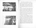 pages image-11