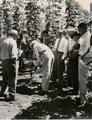 Visitors at the 1950 Field Day view hop trials