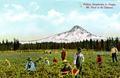 Picking strawberries in Oregon with Mt. Hood in the distance