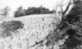 Roadbuilding near Yaquina Bay Lighthouse