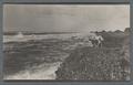 Man and Arbuthnot's dog on the coast, circa 1910