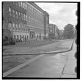 Tree damage in front of Commerce Building, October 20, 1961