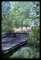 Benches and azaleas in Memorial Union quad, Corvallis, Oregon, 1967