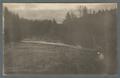Marys River dam, circa 1910