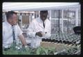 Dr. Murray Dawson and Babalola Olu of Nigeria in greenhouse, 1966