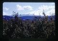 Mount Hood, Oregon, circa 1973