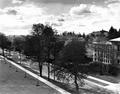 13th Ave. looking northwest in 1950