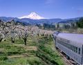 Mount Hood Railroad (Mount Hood, Oregon)