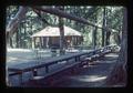 Picnic table made from one log, Bellfountain Park, Benton County, Oregon, July 1976