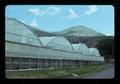 Desert Gem Farm greenhouses heated with hot water, Lakeview, Oregon, 1975