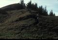 Hikers descending Cascade Head Trail