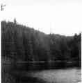 Plantations on North Lake area near Mt. Hebo.  Original timber burned over in 1910.  Photo taken in 1962 and is used in Mt Hebo tour guide as the ""after"" picture.  Trees planted in 1916