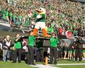 Duck mascot, 2015