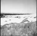 Landscape view of dunes