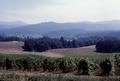 Tree Farm, Rajneeshpuram (Rajneeshpuram, Oregon)