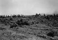 Sage clearing demonstration, Harney Country