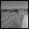 Attendee campground by Parker Stadium, American Institute of Biological Sciences national convention, August, 1962