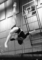 Women's gymnastics, 1980