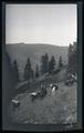 Pack train through the Wallowas