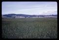 Farms near Sheridan, Oregon, 1965