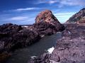 Cape Perpetua Scenic Area