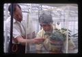 Knud Swenson and JARSI student in a greenhouse, Oregon State University, Corvallis, Oregon, July 1969